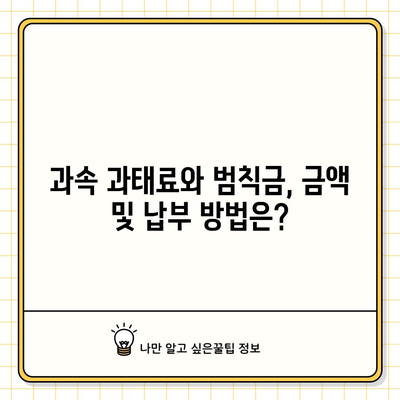 과속 과태료·범칙금 금액과 벌점, 납부 방법