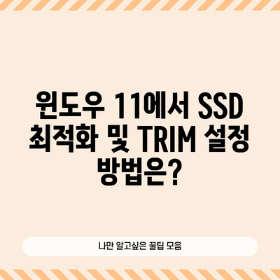 윈도우 11에서 SSD 최적화 및 TRIM 설정 방법은?