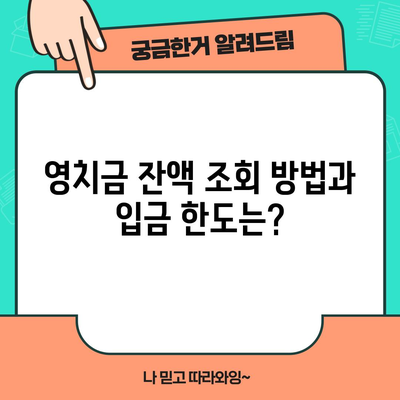 영치금 잔액 조회 방법과 입금 한도는?