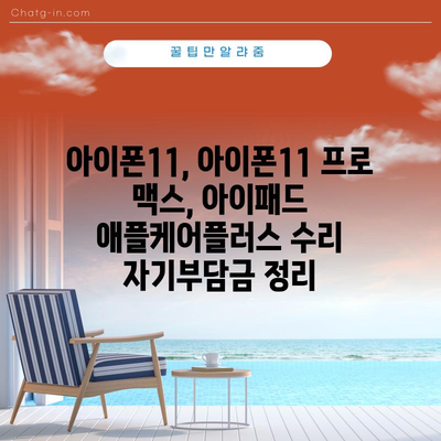 아이폰11, 아이폰11 프로 맥스, 아이패드 애플케어플러스 수리 자기부담금 정리