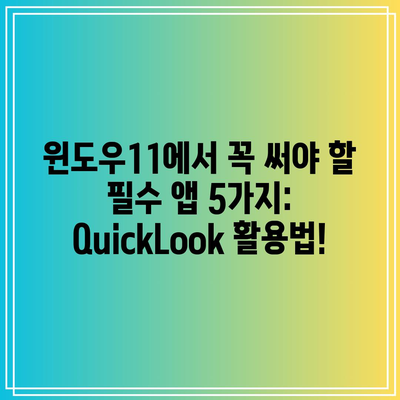 윈도우11 QuickLook 사용법: 스페이스바로 미리보기