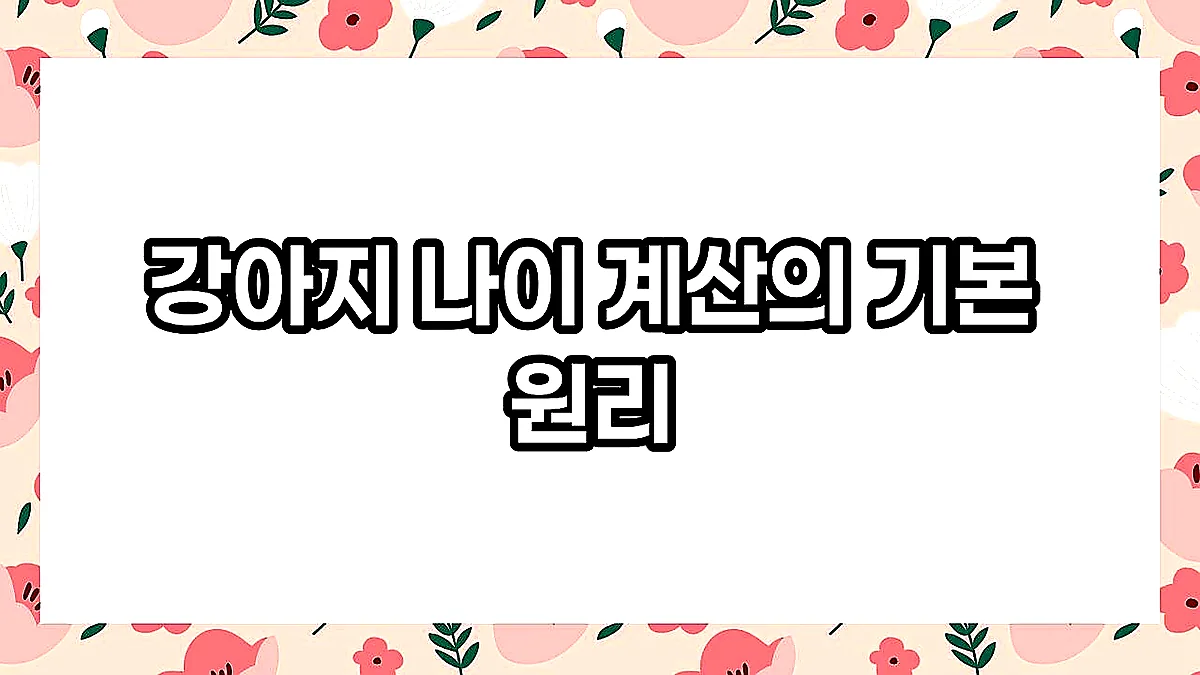 글의 강아지 나이 계산의 기본 원리 이미지