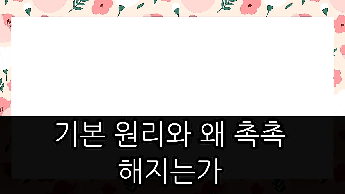 글의 기본 원리와 왜 촉촉해지는가 이미지