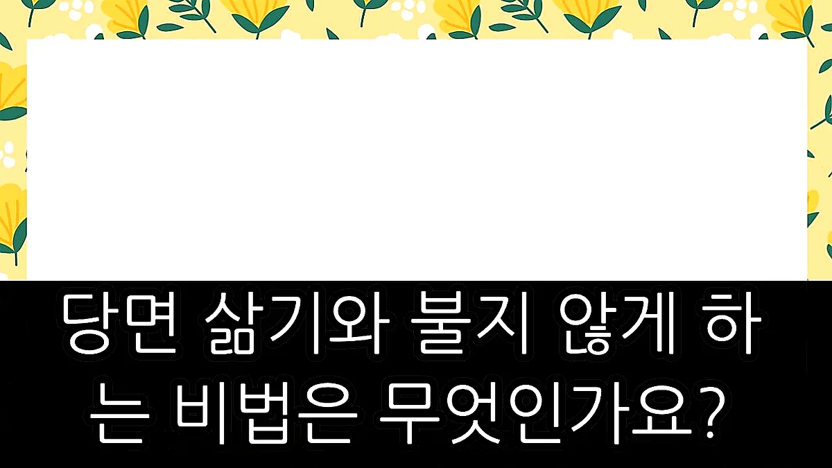 글의 당면 삶기와 불지 않게 하는 비법은 무엇인가요? 이미지