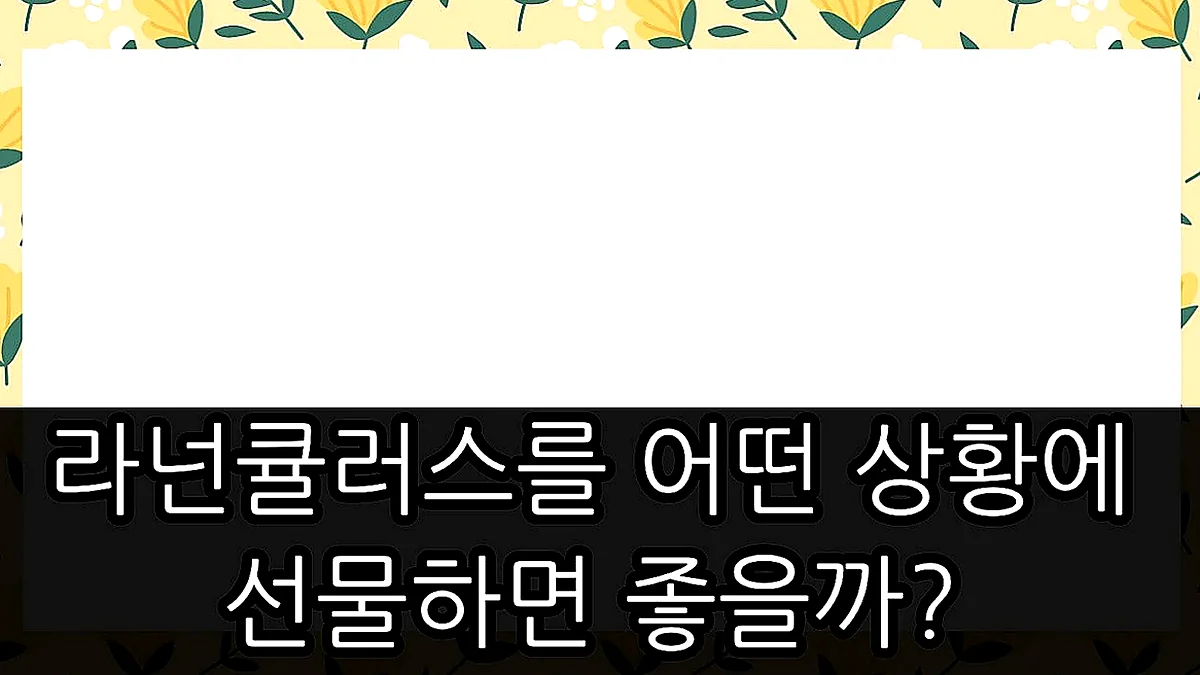 글의 라넌큘러스를 어떤 상황에 선물하면 좋을까? 이미지