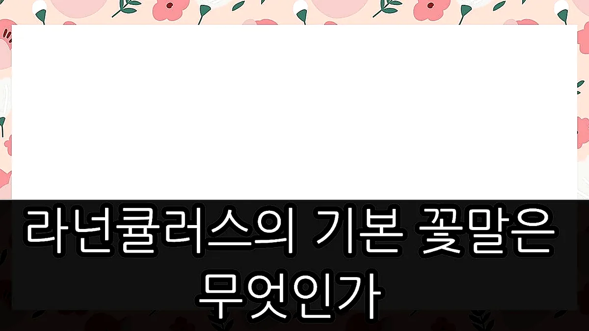 글의 라넌큘러스의 기본 꽃말은 무엇인가 이미지