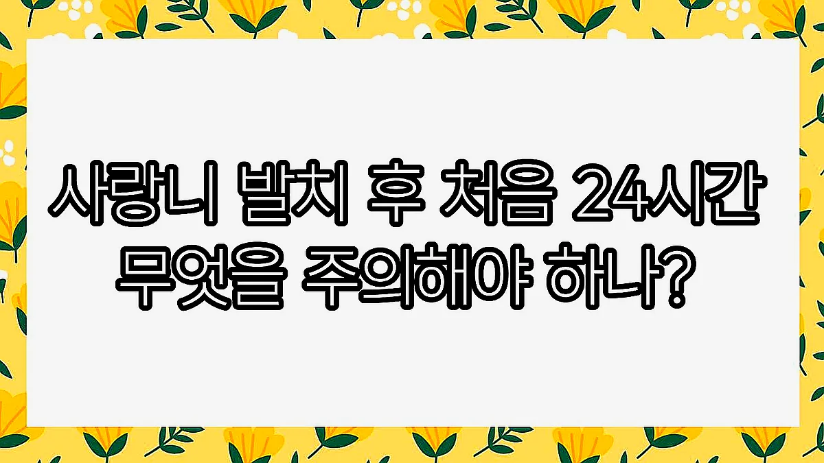 글의 사랑니 발치 후 처음 24시간 무엇을 주의해야 하나? 이미지 글의 사랑니 발치 후 처음 24시간 무엇을 주의해야 하나? 이미지