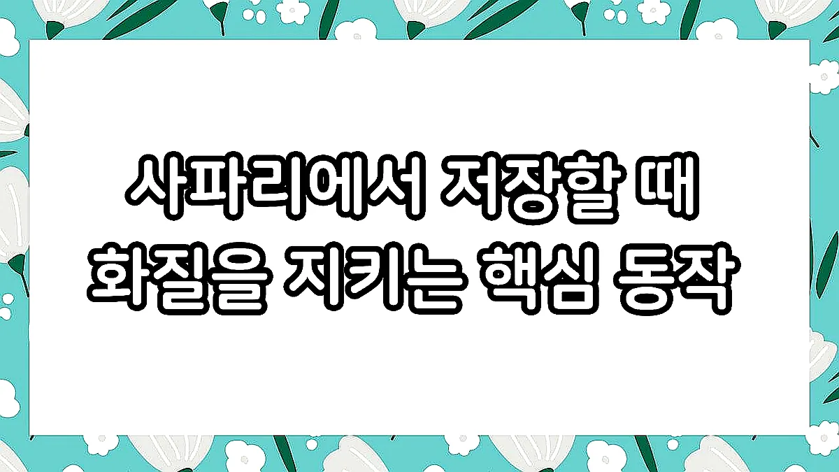 글의 사파리에서 저장할 때 화질을 지키는 핵심 동작 이미지