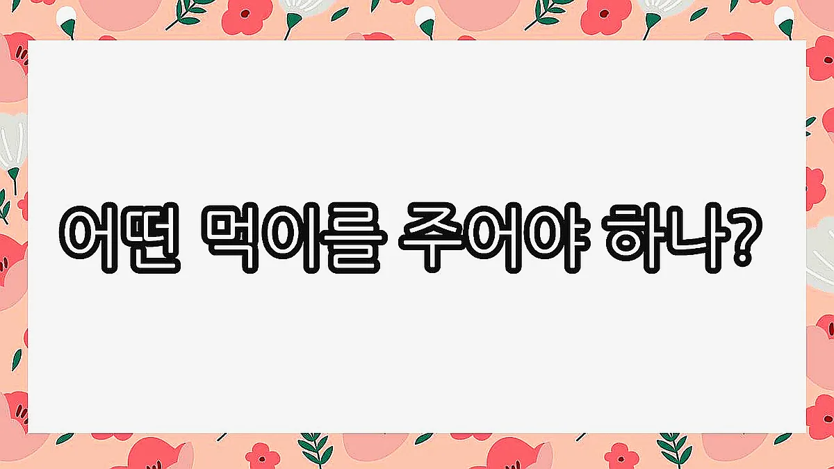 글의 어떤 먹이를 주어야 하나? 이미지 글의 어떤 먹이를 주어야 하나? 이미지