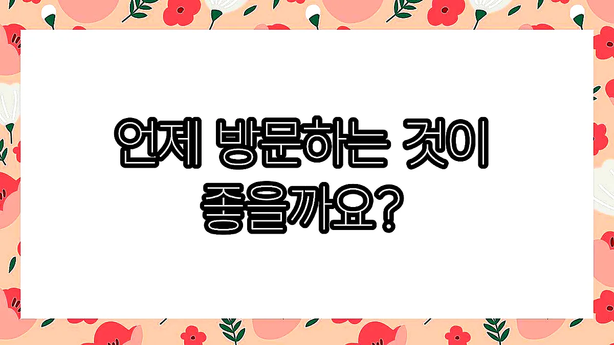 글의 언제 방문하는 것이 좋을까요? 이미지 글의 언제 방문하는 것이 좋을까요? 이미지