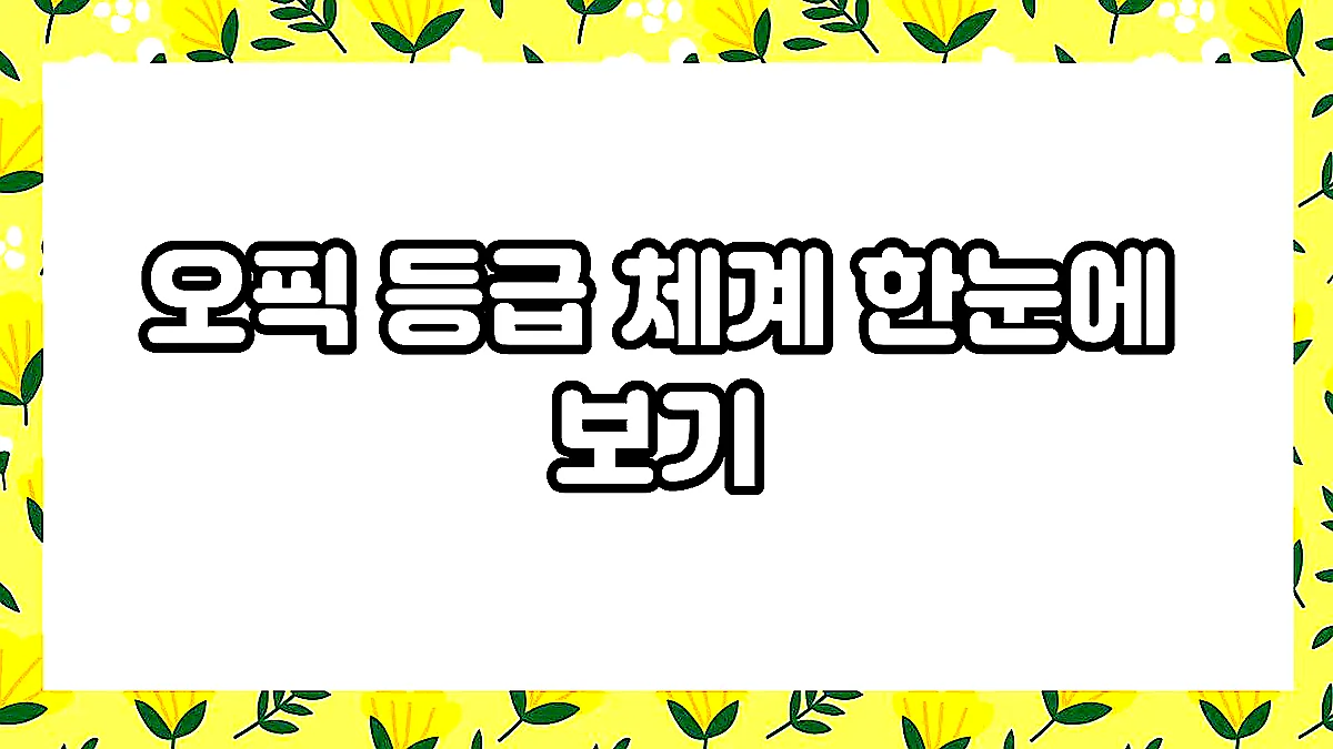 글의 오픽 등급 체계 한눈에 보기 이미지 글의 오픽 등급 체계 한눈에 보기 이미지