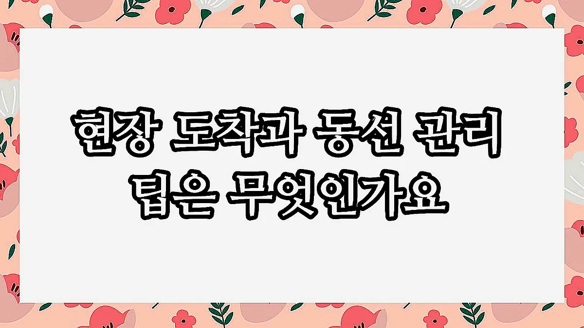 글의 현장 도착과 동선 관리 팁은 무엇인가요 이미지