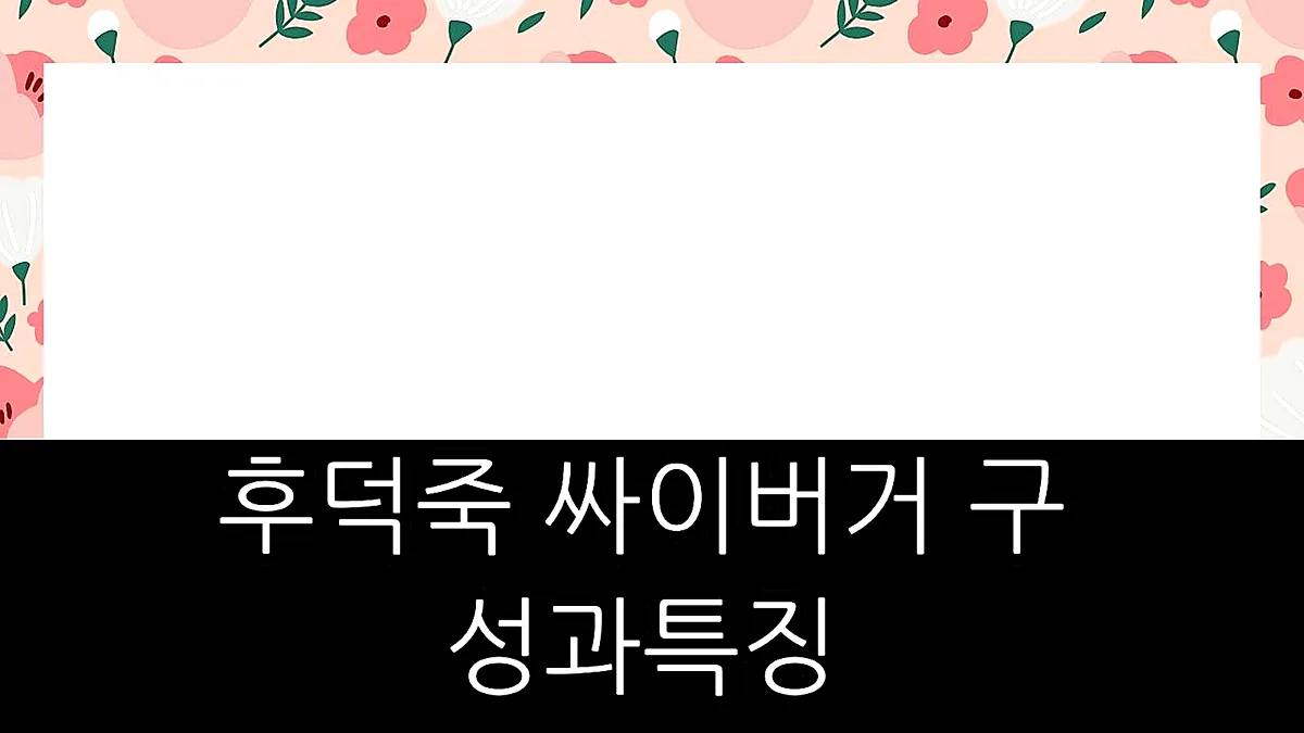 글의 후덕죽 싸이버거 구성과 특징 이미지 글의 후덕죽 싸이버거 구성과 특징 이미지