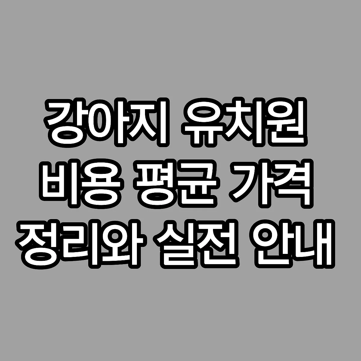 강아지 유치원 비용 평균 가격 정리와 실전 안내 썸네일