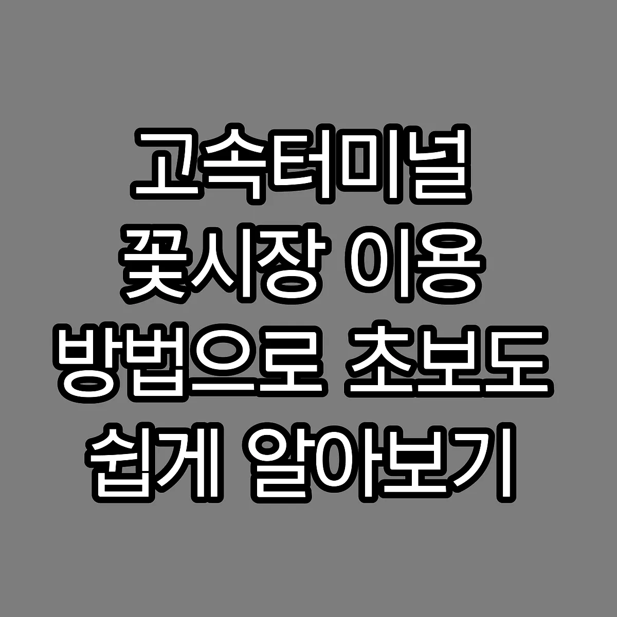 고속터미널 꽃시장 이용 방법으로 초보도 쉽게 알아보기 썸네일