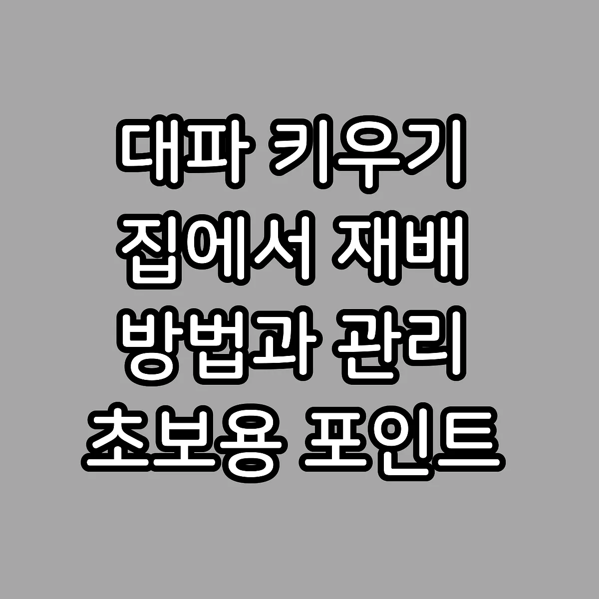 대파 키우기 집에서 재배 방법과 관리 초보용 포인트 썸네일