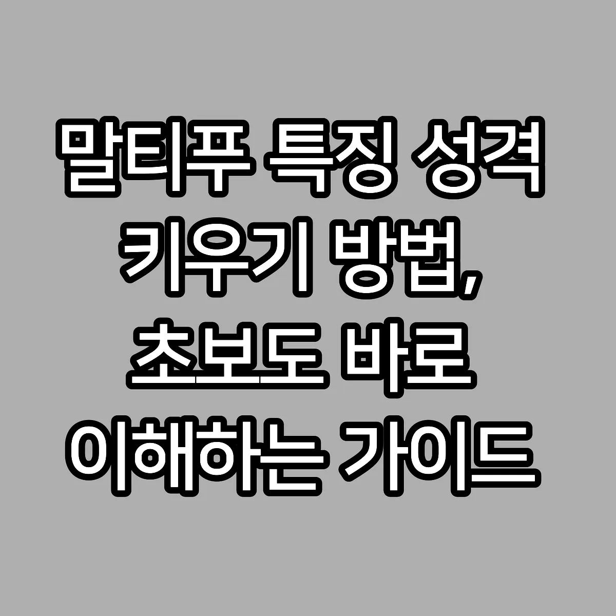 말티푸 특징 성격 키우기 방법, 초보도 바로 이해하는 가이드 썸네일