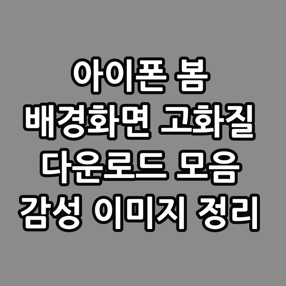 아이폰 봄 배경화면 고화질 다운로드 모음 감성 이미지 정리 썸네일