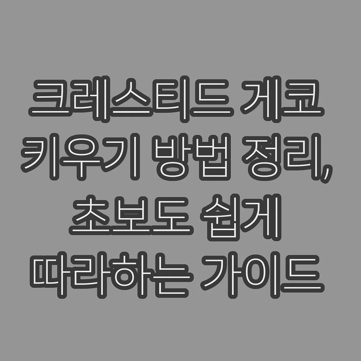 크레스티드 게코 키우기 방법 정리, 초보도 쉽게 따라하는 가이드 썸네일