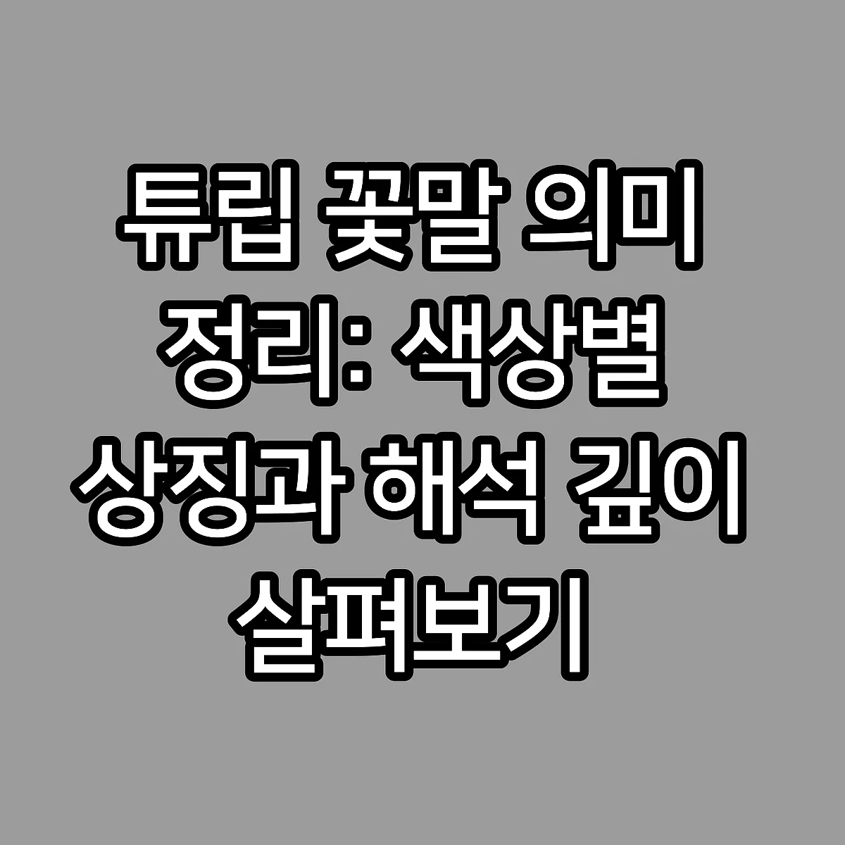 튜립 꽃말 의미 정리: 색상별 상징과 해석 깊이 살펴보기 썸네일