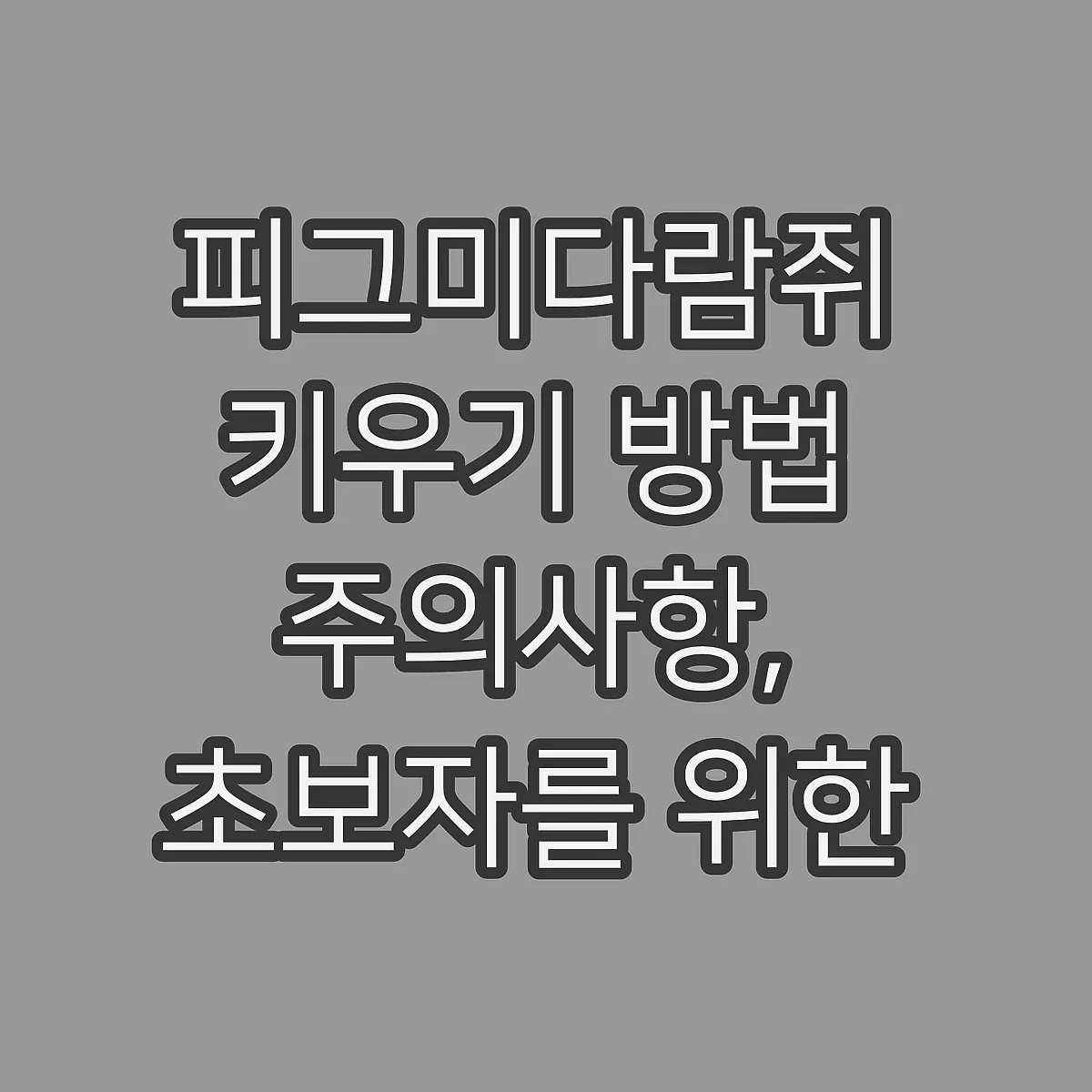 피그미다람쥐 키우기 방법 주의사항, 초보자를 위한 실제 팁 썸네일